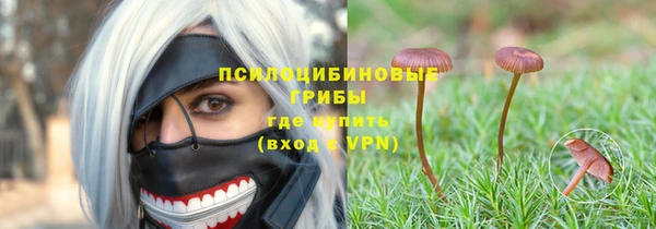 стафф Навашино