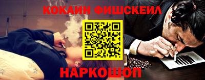 крисы Камышлов