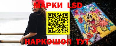 крисы Камышлов