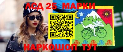 крисы Камышлов