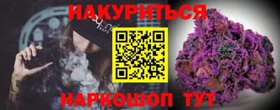 крисы Камышлов