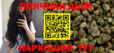крисы Камышлов