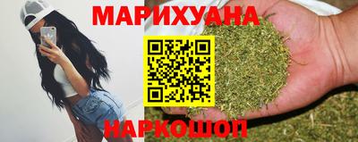 крисы Камышлов