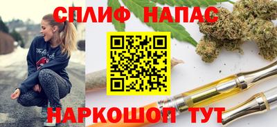 крисы Камышлов