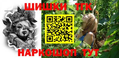 крисы Камышлов