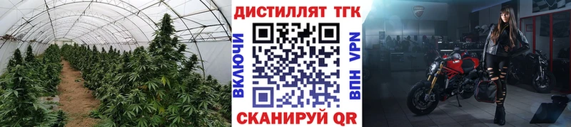 Дистиллят ТГК концентрат  закладки  Новодвинск 
