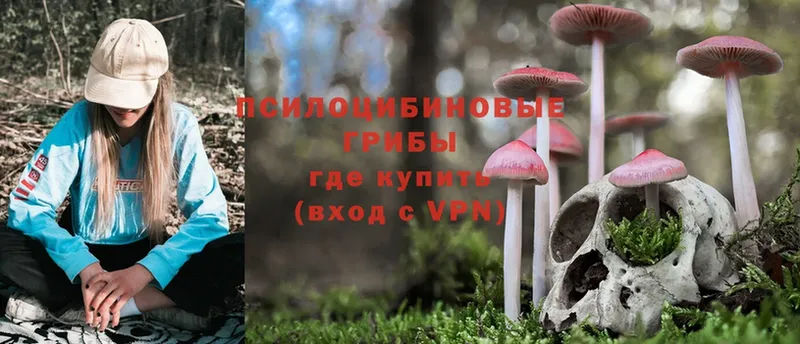 Псилоцибиновые грибы MAGIC MUSHROOMS Новодвинск