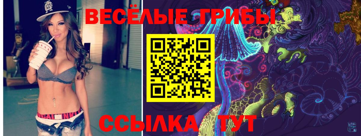 Галлюциногенные грибы GOLDEN TEACHER  хочу   Новодвинск 