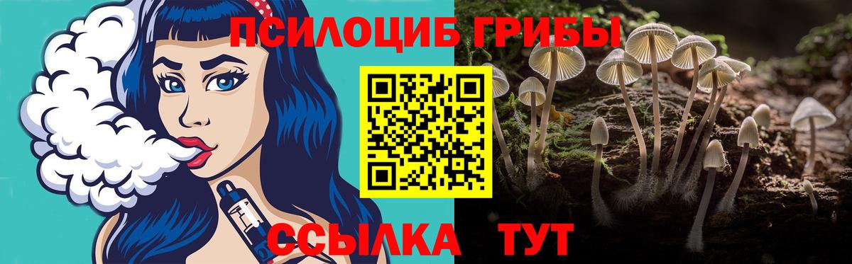 Галлюциногенные грибы Cubensis Новодвинск